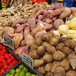 Assortiment exotique le marche des gourmets parisiens